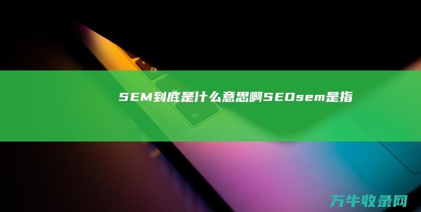 SEM到底是什么意思啊 SEO (sem是指)