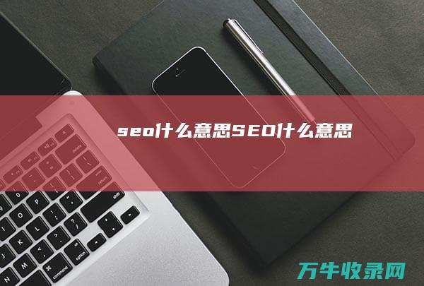 seo什么意思 (SEO什么意思)