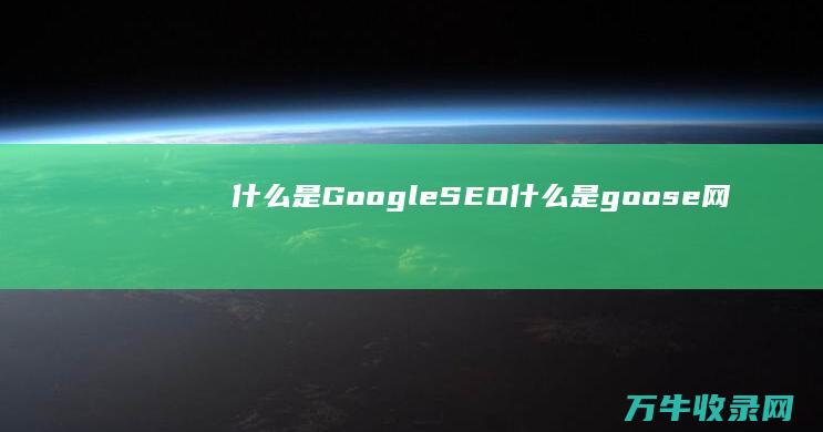 什么是Google SEO (什么是goose网络和sv网)