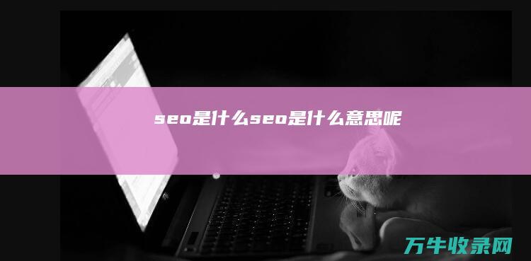 seo是什么 (seo是什么意思呢)