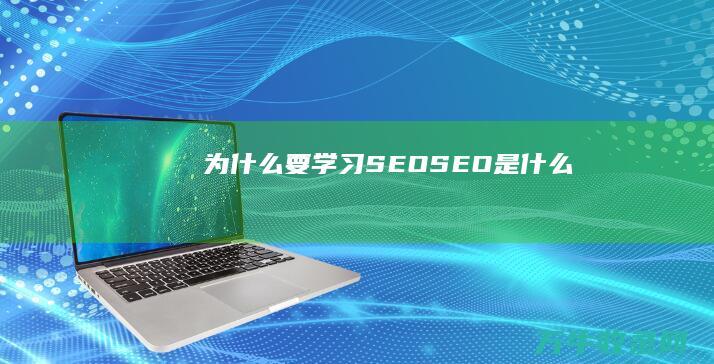 为什么要学习SEO SEO是什么